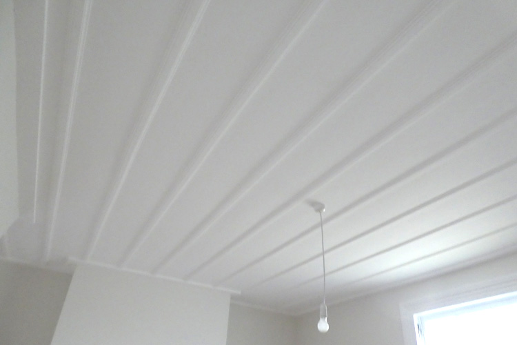 interior ceiling painting north shore city auckland